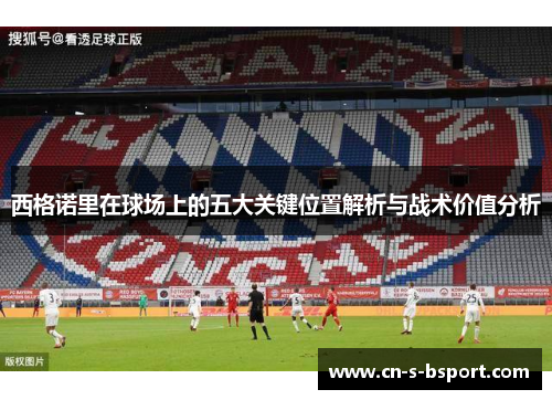 西格诺里在球场上的五大关键位置解析与战术价值分析
