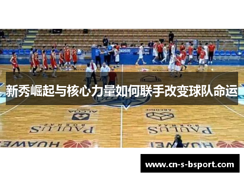 新秀崛起与核心力量如何联手改变球队命运