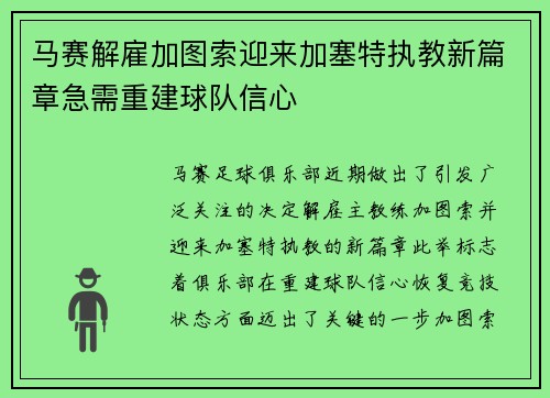 马赛解雇加图索迎来加塞特执教新篇章急需重建球队信心